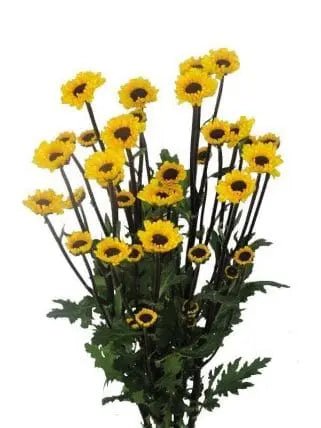 Viking Micro Pompons Flowers 12 bunch