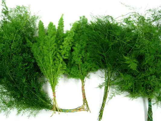 Wedding Wonder Mix Foliage Combo Box