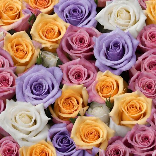 Assorted Roses, 125 stems