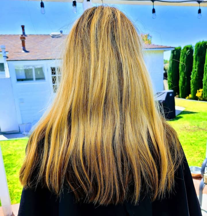 Dry Cuts By Jesse Of Venice