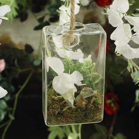 3 Clear Trapezoid Glass Wall Hanging Terrariums Vases