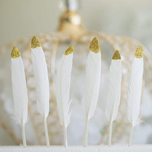 30 Tip Natural Decorative Turkey Feathers