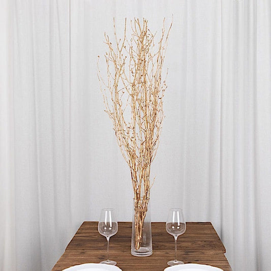 6 Decorative 46 in Extra Long Birch Tree Branches Vase Fillers