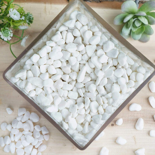 2 lbs Gravel Pebble Stones Vase Fillers