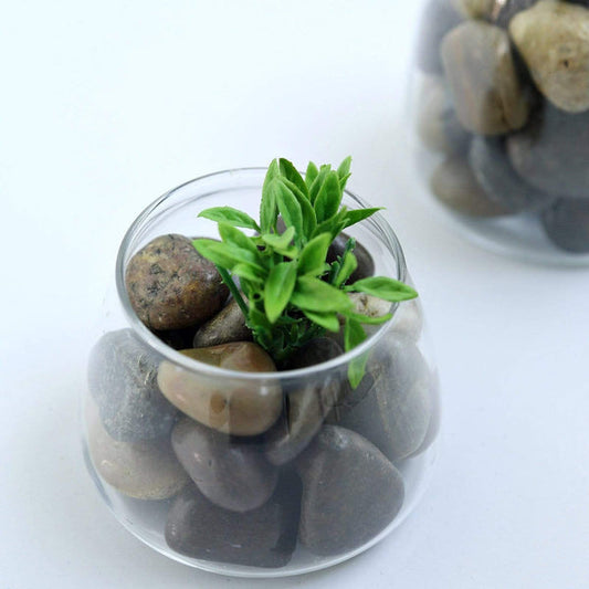 2 lbs Assorted Brown Natural Gravel Pebble Stones Vase Fillers