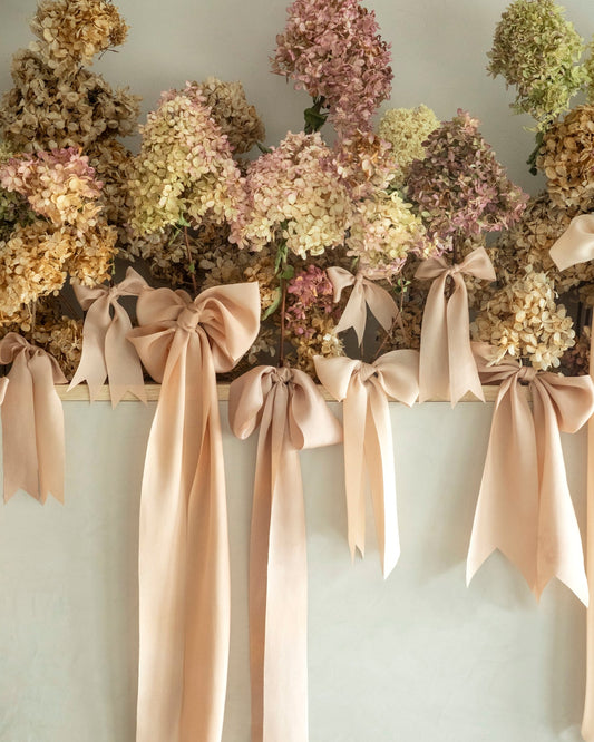 Ribbon Set / Blush Silk Ribbons