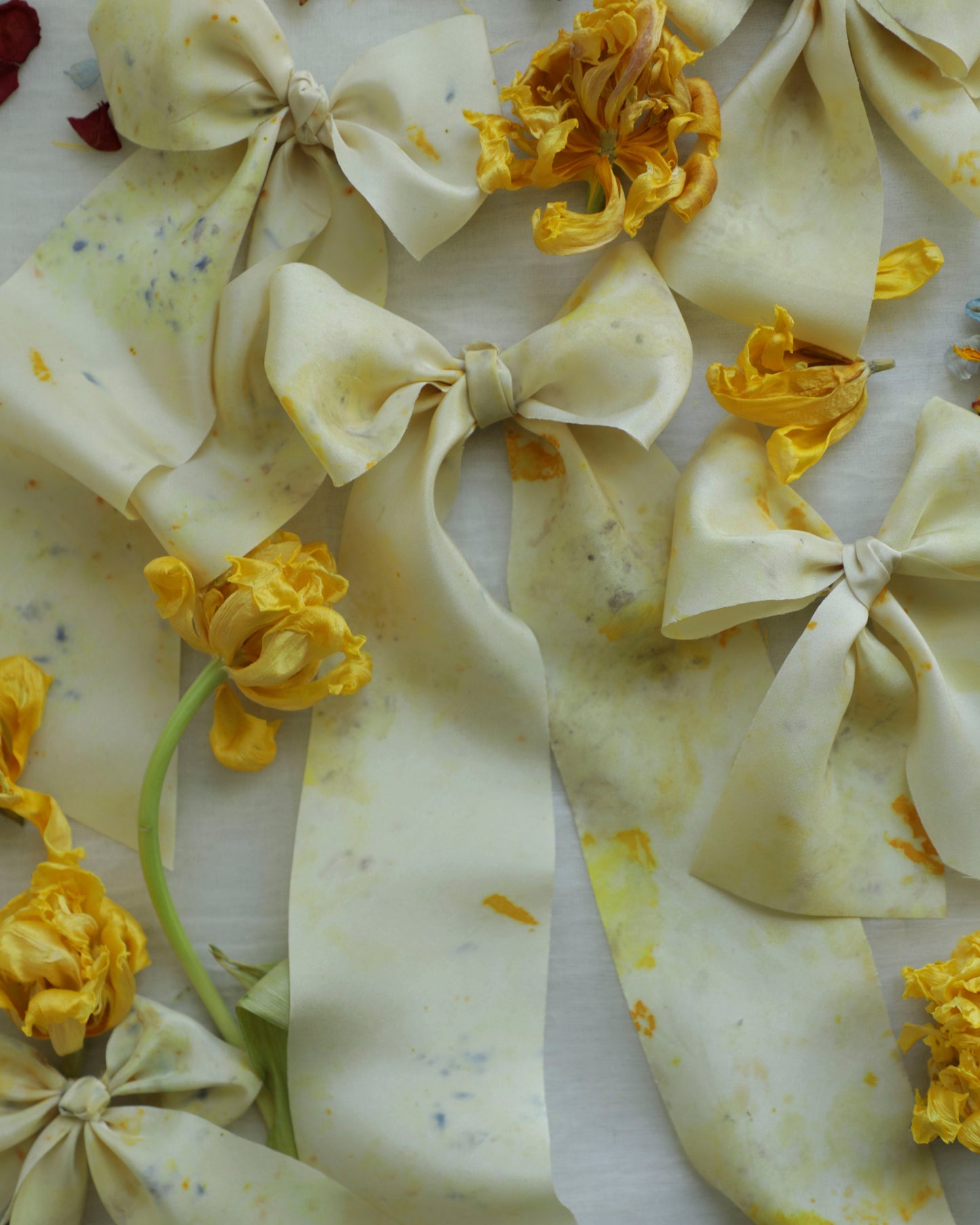 Limited Edition | Original Eco-Print No. 124 Silk Ribbon