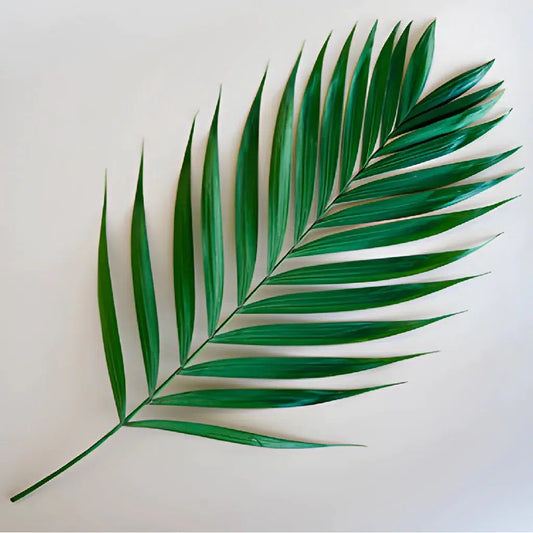 Emerald Palm Leaf