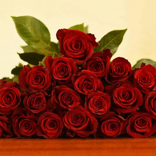 Explorer Red Roses 100 Stems