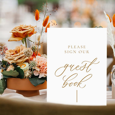 Modern Guestbook Sign
