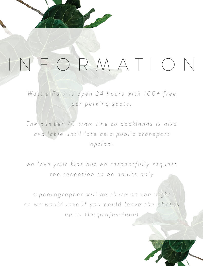 Fiddle Leaf Fig Information Card by Joanna H.