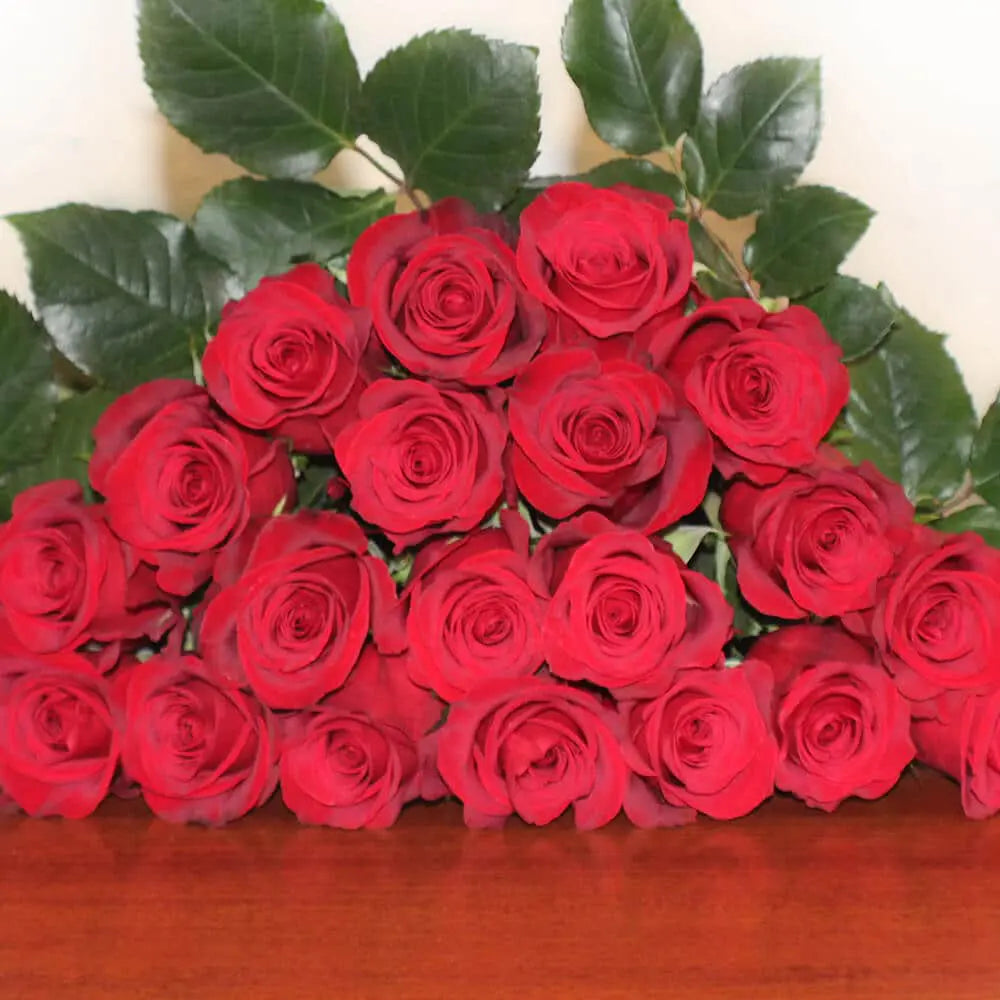 Freedom Red Roses 100 Stems