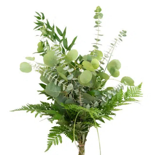 Baby Mix, 10 Greenery Bouquets