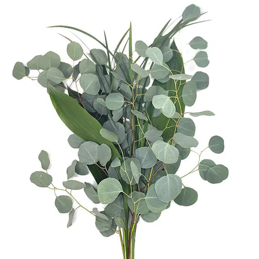 Wild Fay Mix, 10 Greenery Bouquets