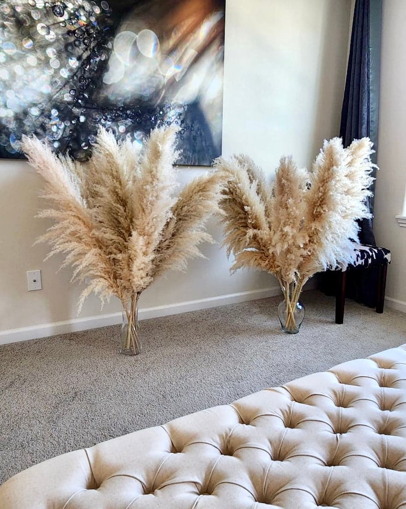 5 Stems USA-Grown Pampas Grass: 2-4ft Boho Wedding Arch Decor, Dried Flowers
