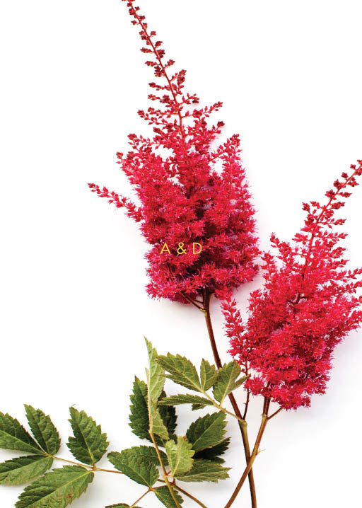 Blooming Red Wedding Invitations by Novi A.