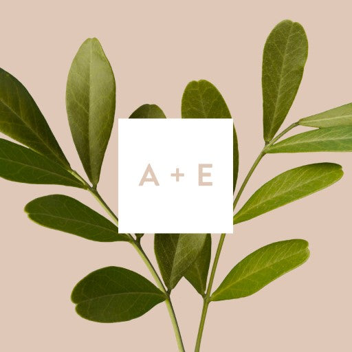 Leif Wedding Invitations by Anna D.