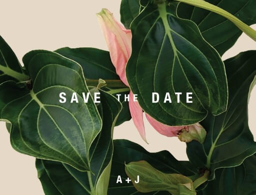 Medinilla Postcard Save The Date Cards by Shab M.