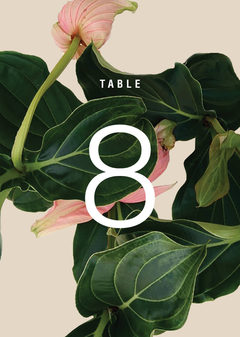 MedinillaTable Number by Shab M.