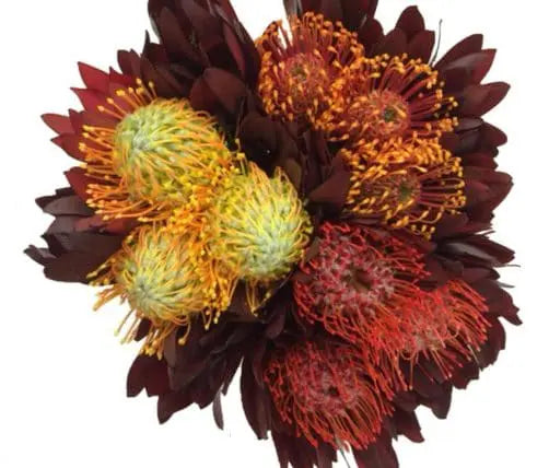 Pincushion Bouquets 12