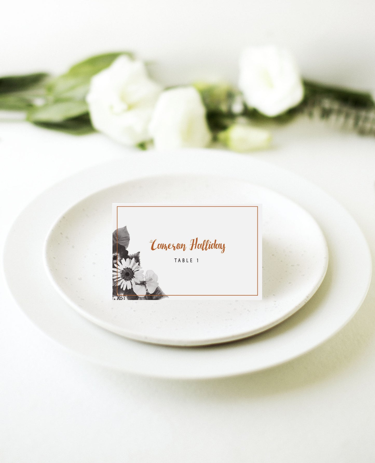 Spring CollectionPlace Cards by Haley J.