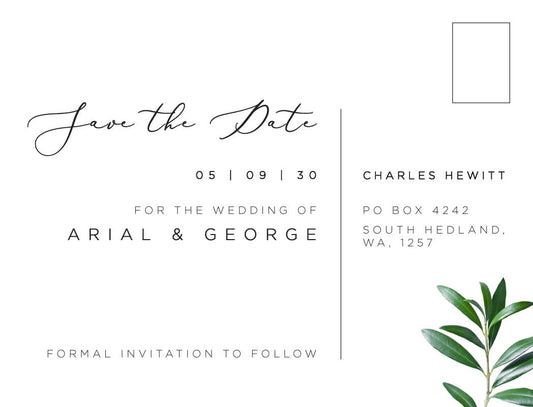 Olive Postcard Save The Date Cards by Stella M.