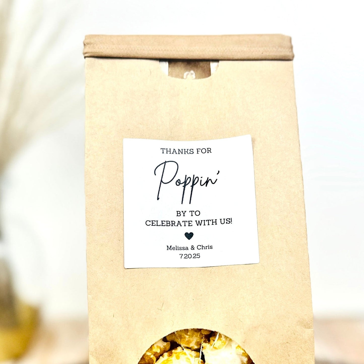 Pristine Popcorn Pouch