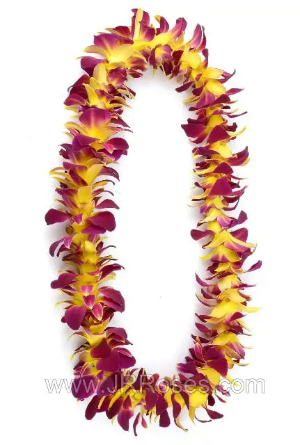 Purple and Yellow Orchid Lei, 10 leis