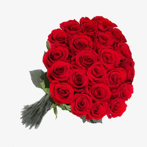 Red Roses, 100 stems