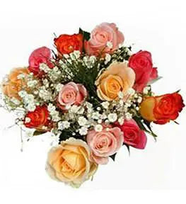 Dozen Lollipop Rose Bouquet 10 Dz