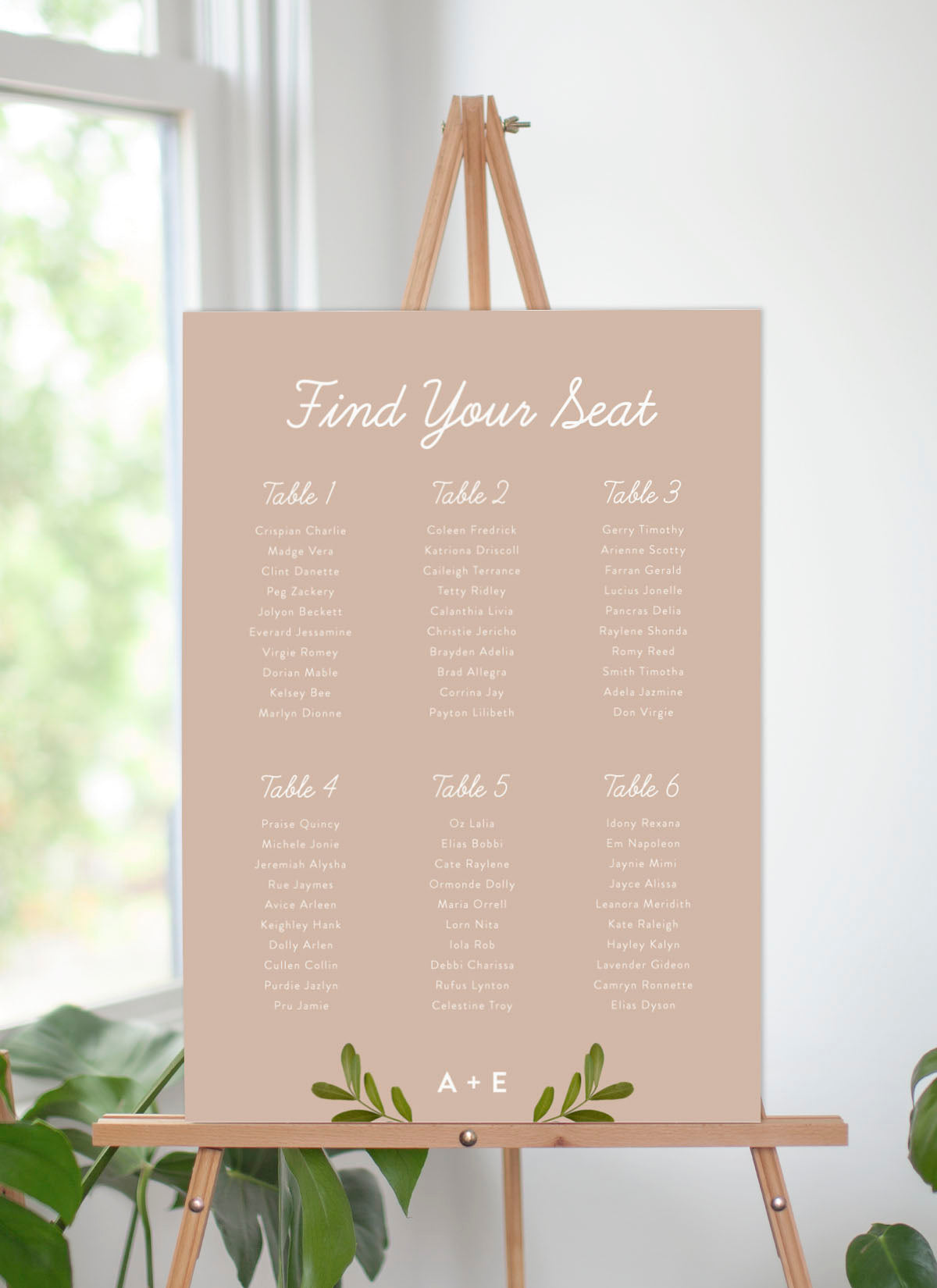 Leif Seating Chart by Anna D.