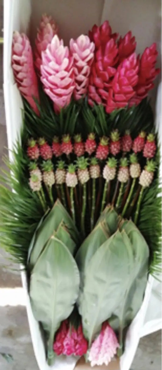 Tropical Flowers Mix Box