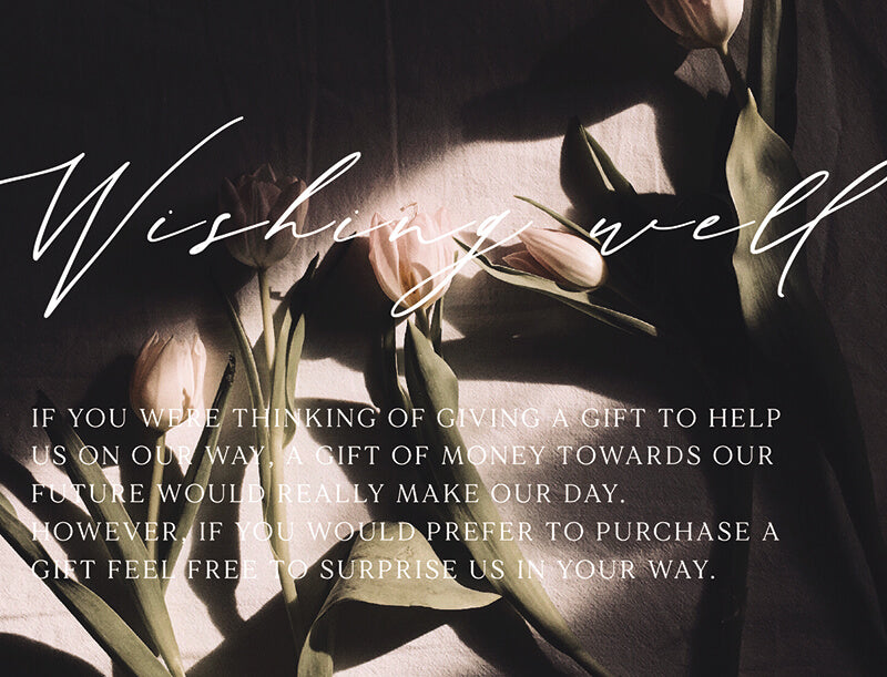 Tulips Wishing Well by Shab M.