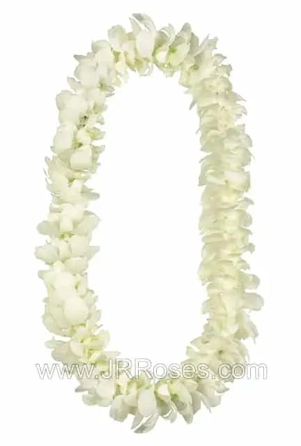 White Orchid Leis 10 Necklace