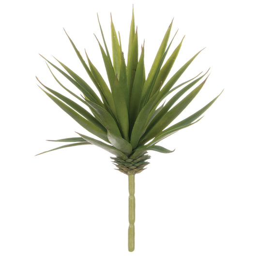 Marginata Succulent Pick