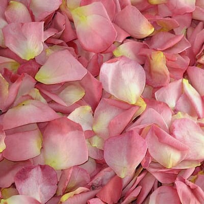Enchanting Fd Rose Petals (30 Cups)