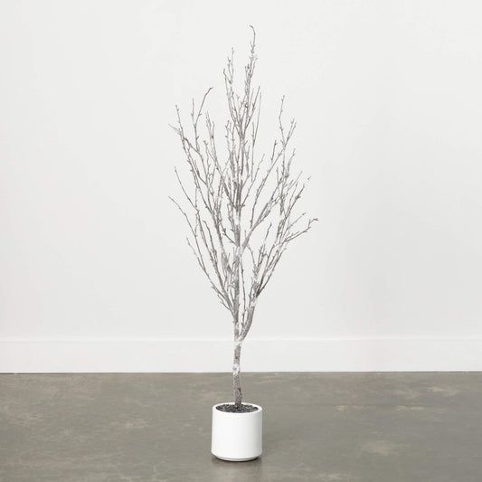 5' Flocked Bare Birch Tree