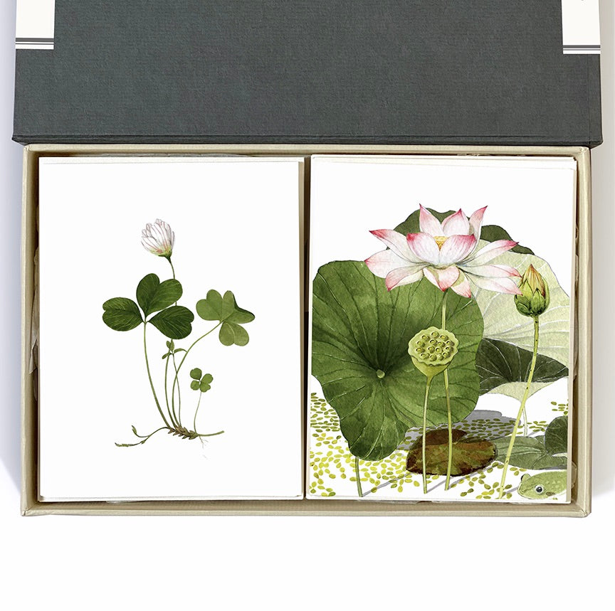 Lotus And Clover Desk Box Couplet