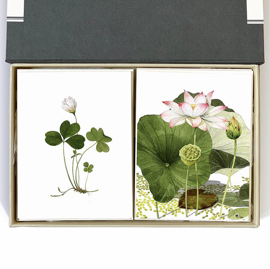 Lotus And Clover Desk Box Couplet