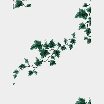 Green Ivy & White Plant Sleeves 8x23x36" X10