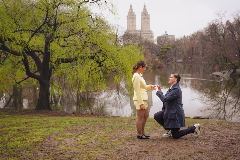 Videos & Photos Central Park