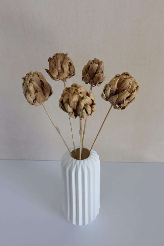 Dried Artichoke Stems