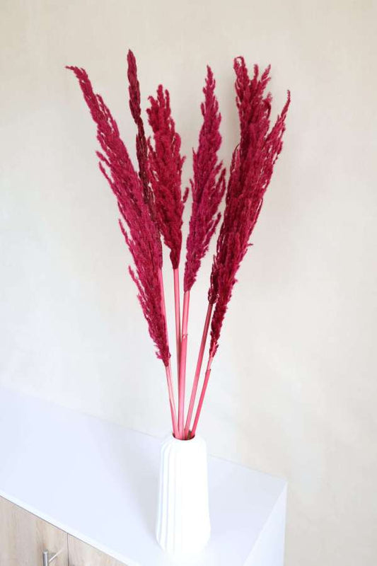 Large Cranberry Eryanthus Bundle