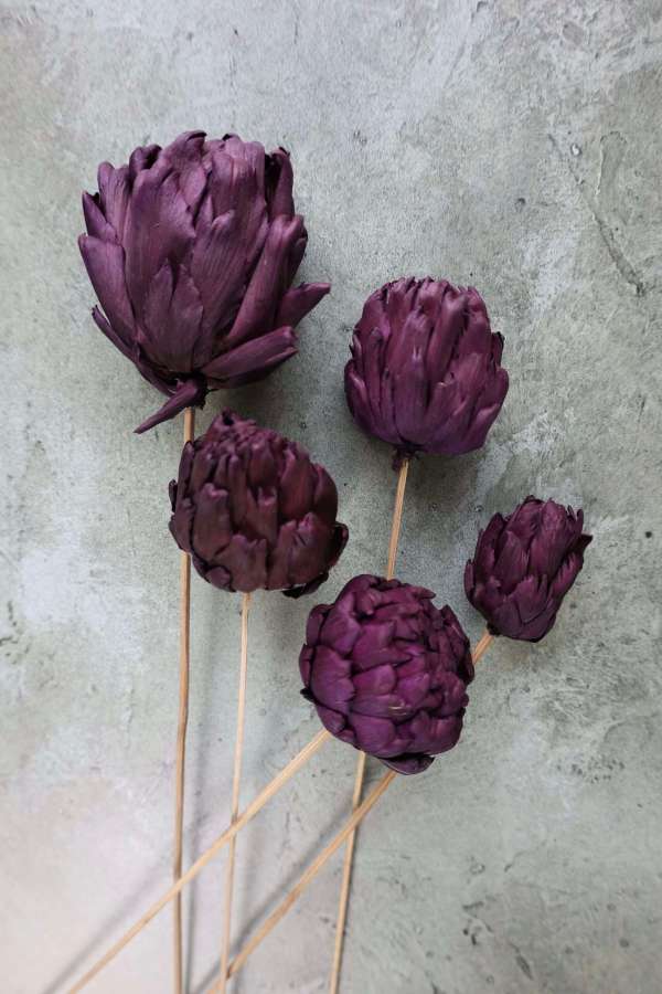 Dried Artichoke Stems
