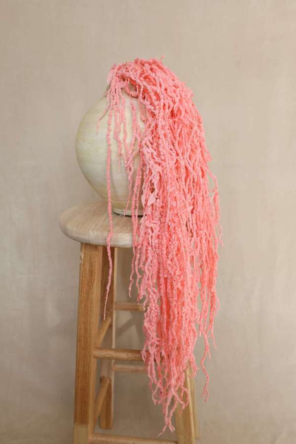 Hanging Amaranthus Bunch