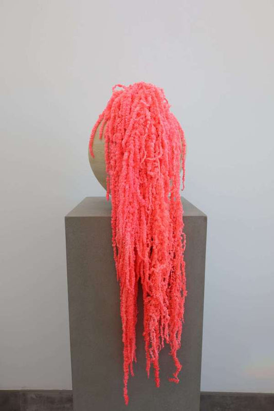 Hanging Amaranthus Bunch