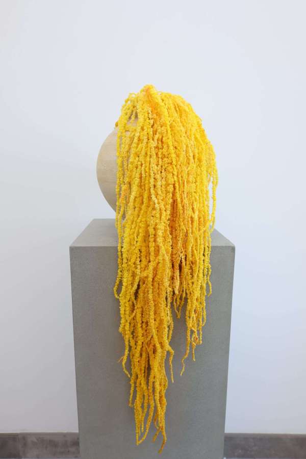 Hanging Amaranthus Bunch