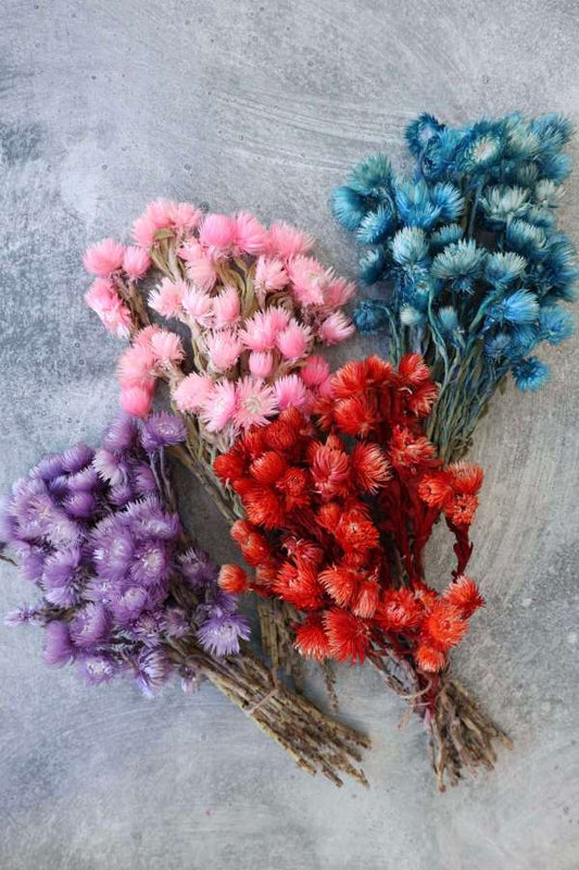 Dried Everlasting Strawflowers