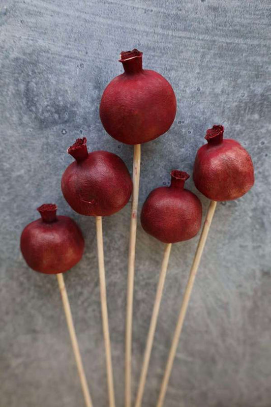Dried Pomegranate Stems