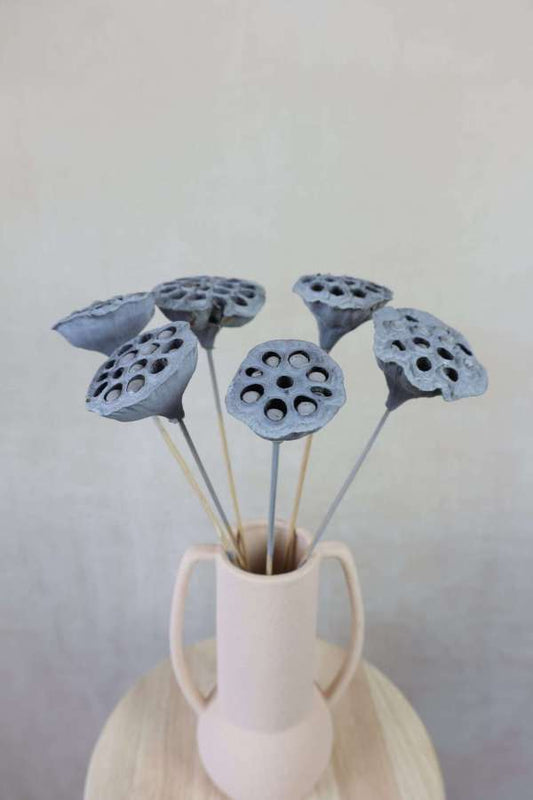 Gray Wash Lotus Pods